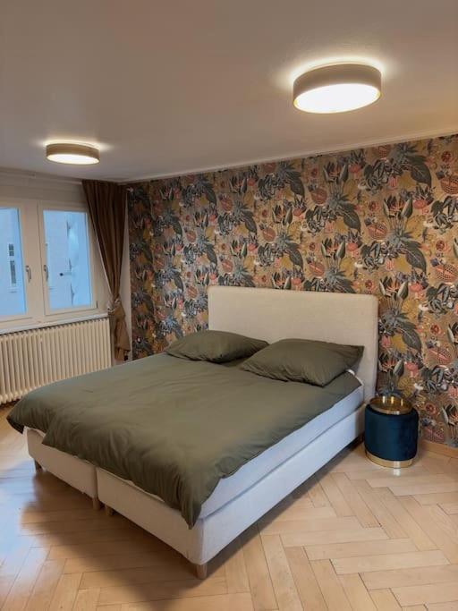 Suesse Wohnung In Zuercher Altstadt 3 취리히 외부 사진